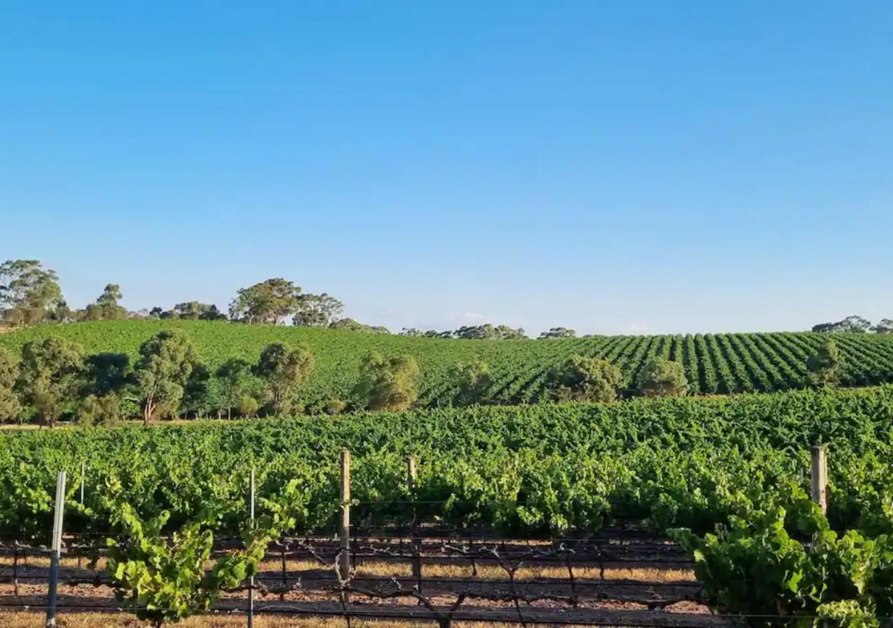 Clare Valley Millon Estate Eksteriør bilde